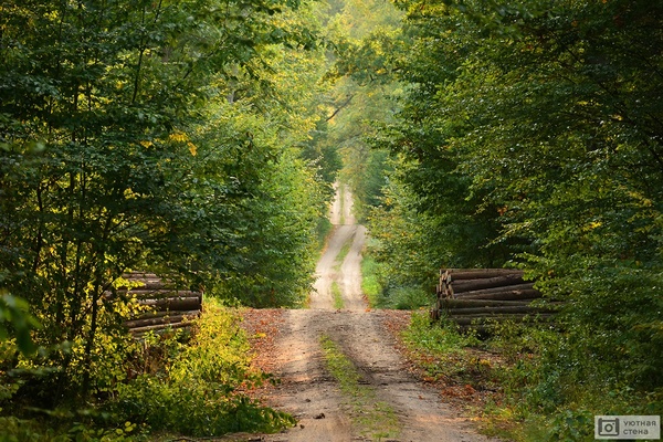 Paisaje verde con camino tranquilo ideal para pedalear sin prisa